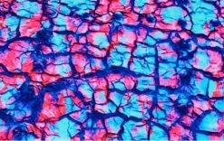 Funkita-Ladies Rusted Scoop Neck Tankini Top 9 Funkita-Ladies Rusted Scoop Neck Tankini Top -Swimwear Promotion Store image 15273 600