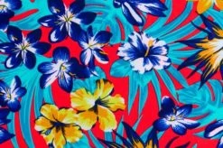 Funky Trunks-Mens Aloha From Hawaii Short Shorts -Swimwear Promotion Store image 15332 600