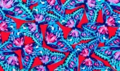 Funkita-Girls Fly Free Strapped In One Piece -Swimwear Promotion Store image 6016556 600