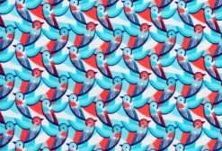 Funkita-Girls Swallowed Up Diamond Back 1 Piece 9 Funkita-Girls Swallowed Up Diamond Back 1 Piece -Swimwear Promotion Store image 6019014 600